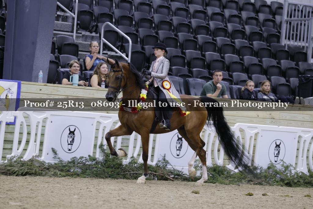 Proof 25R13_08693