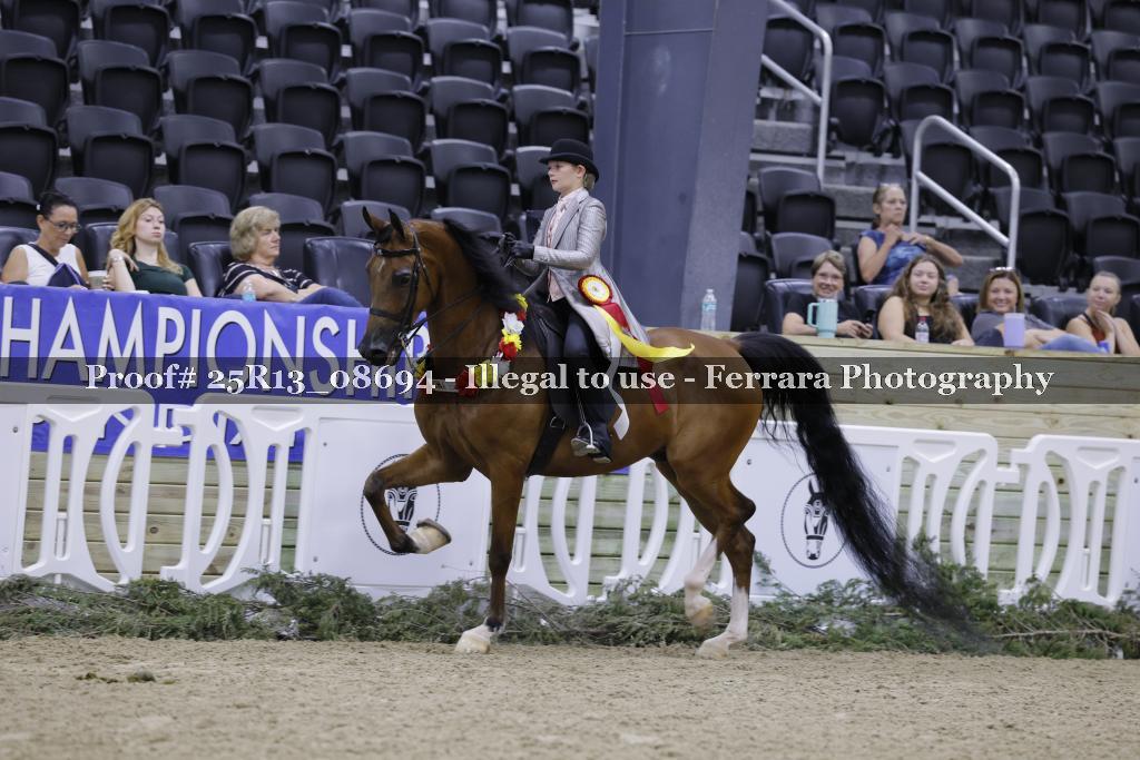 Proof 25R13_08694