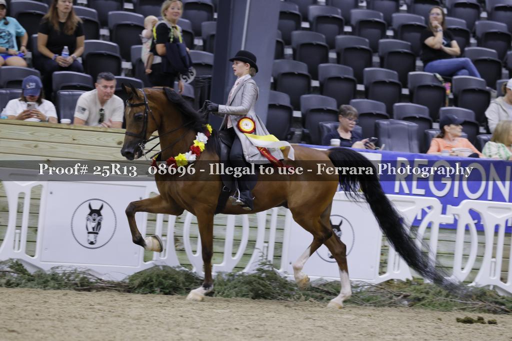 Proof 25R13_08696