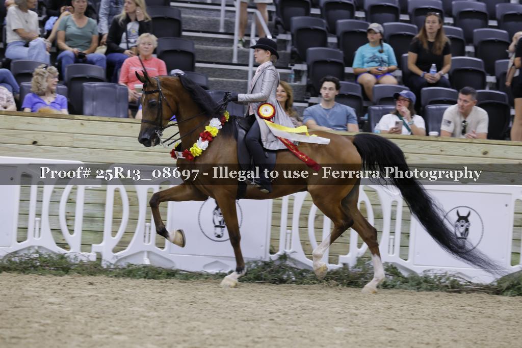Proof 25R13_08697