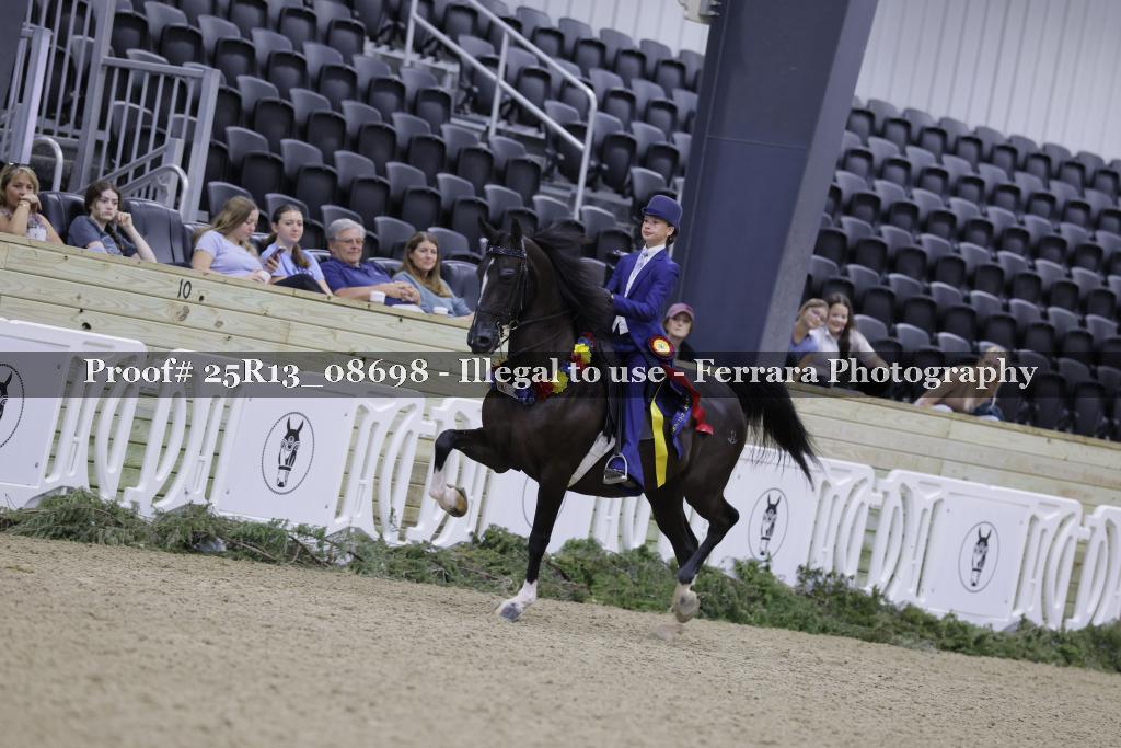 Proof 25R13_08698