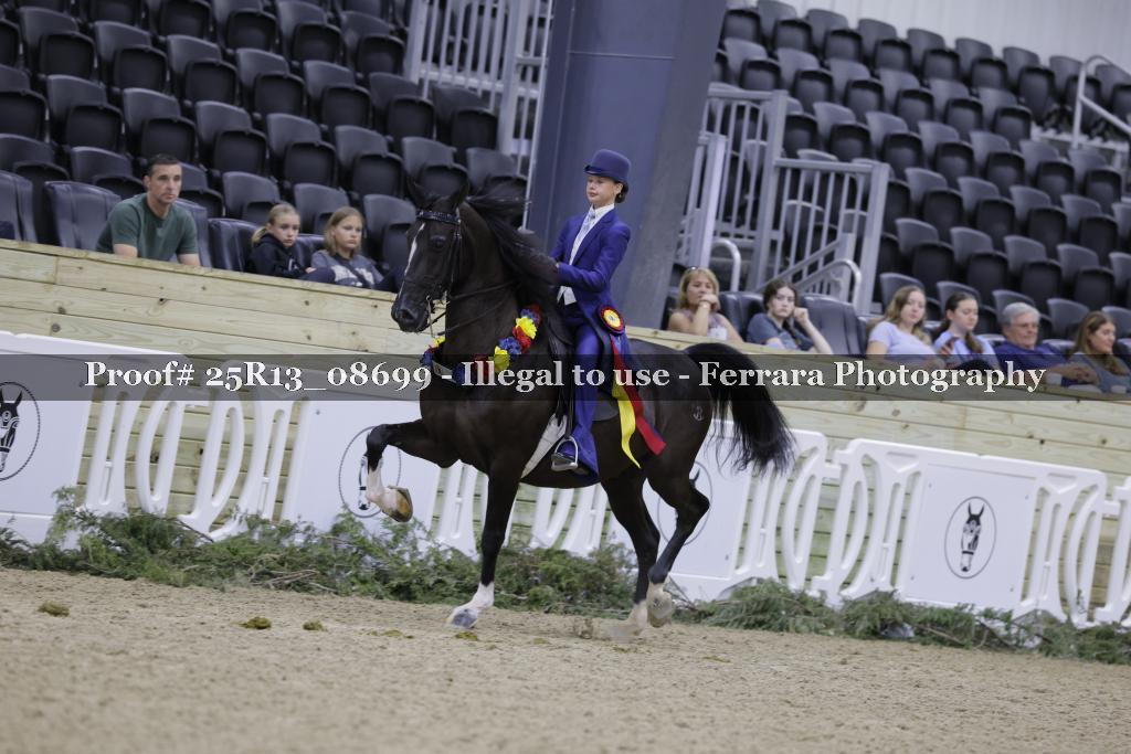 Proof 25R13_08699