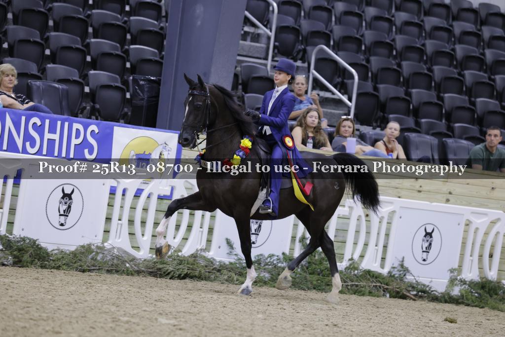 Proof 25R13_08700