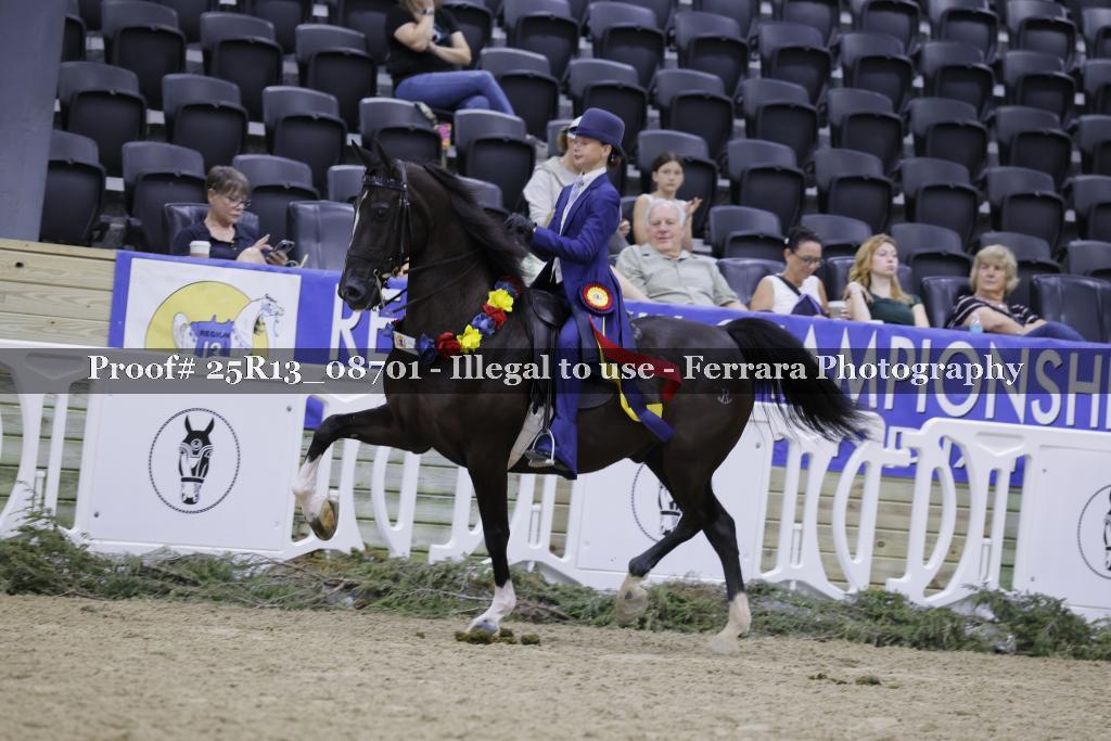 Proof 25R13_08701