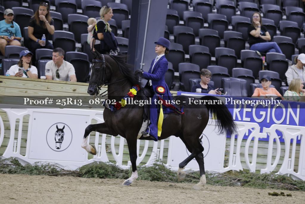Proof 25R13_08702