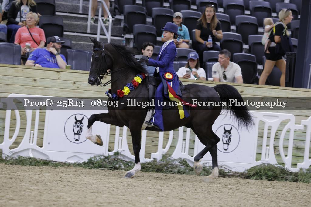 Proof 25R13_08703
