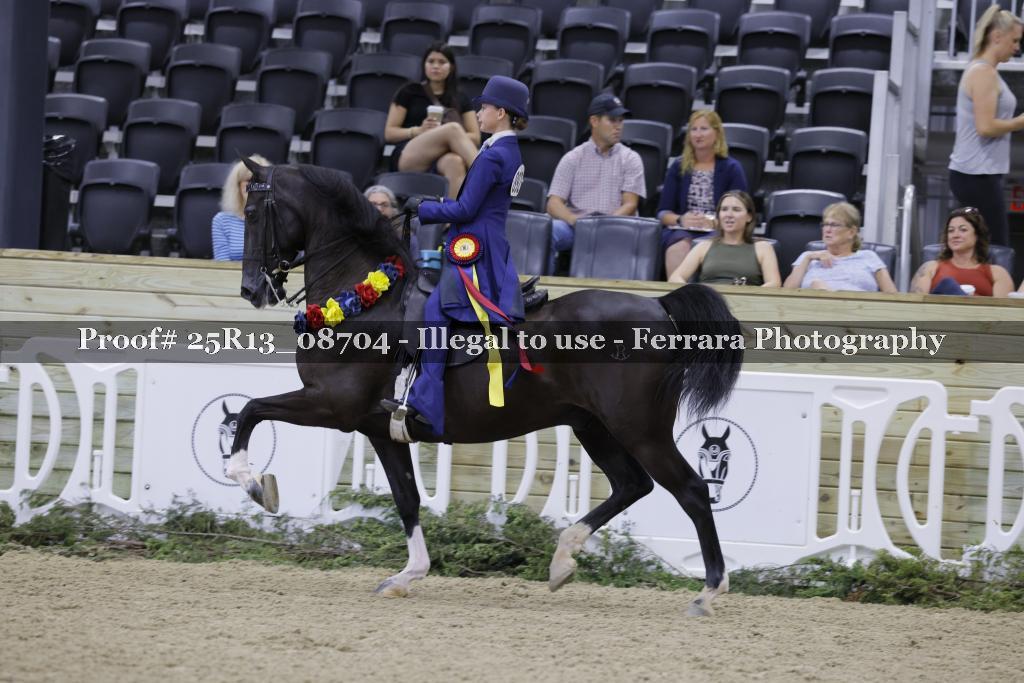 Proof 25R13_08704