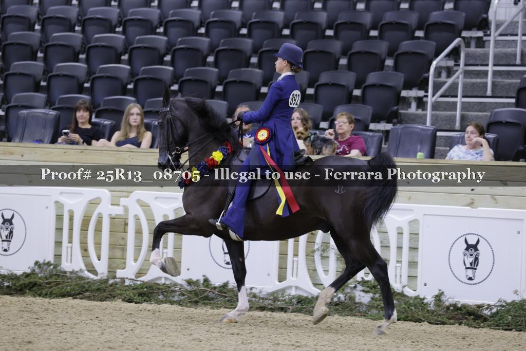 Proof 25R13_08705