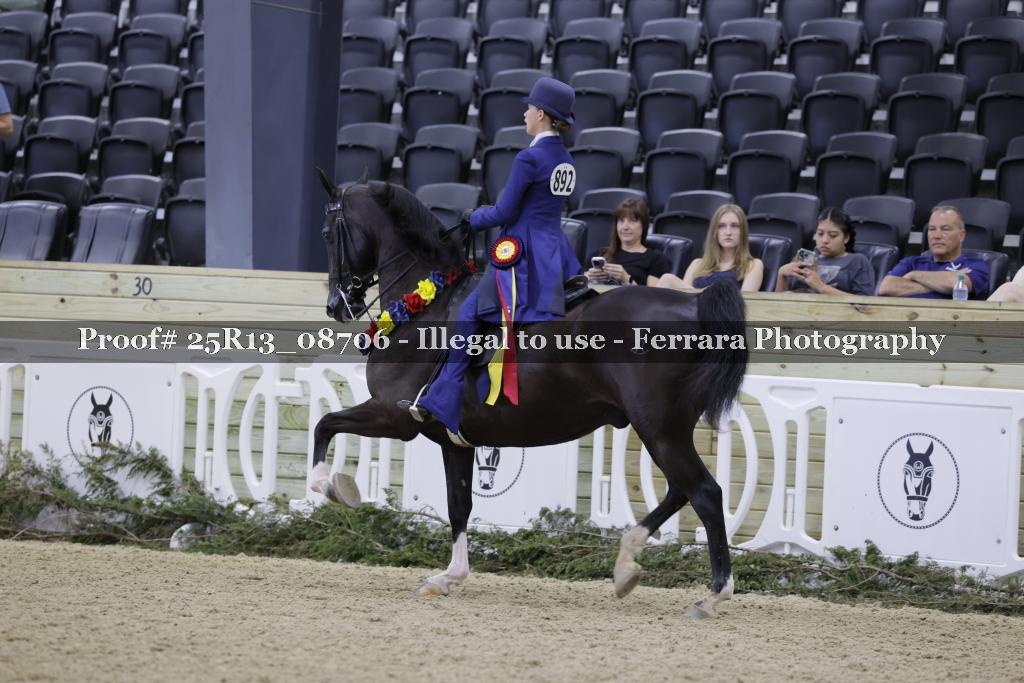 Proof 25R13_08706