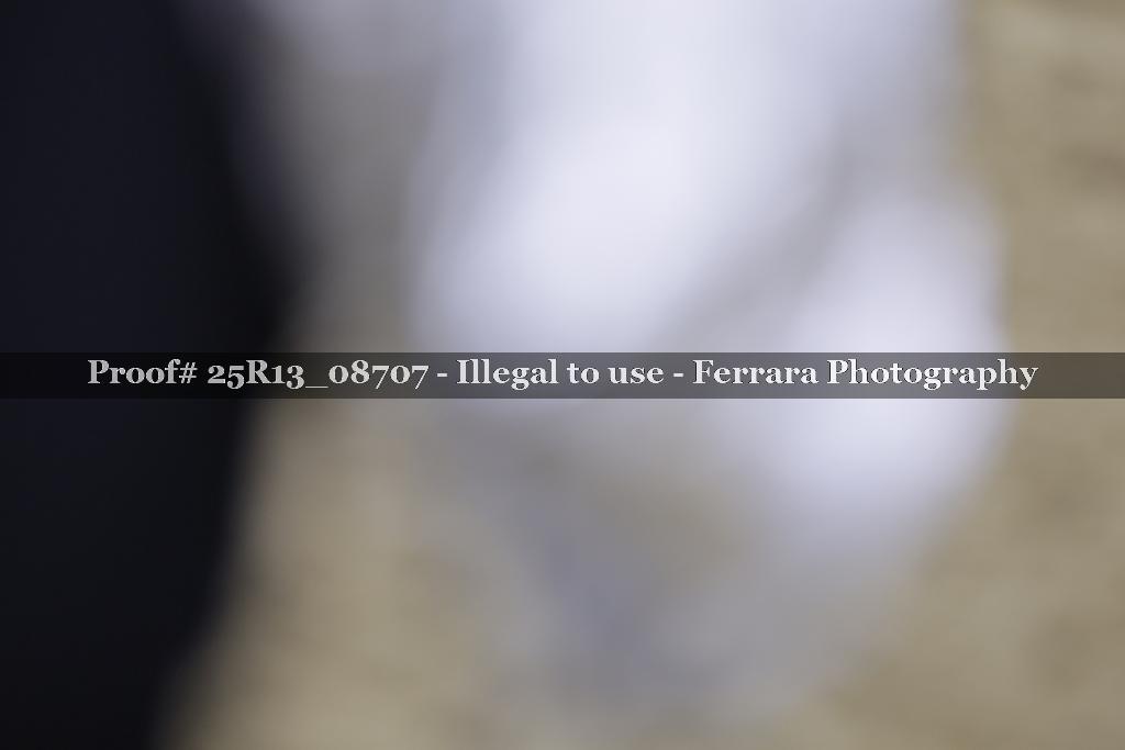 Proof 25R13_08707