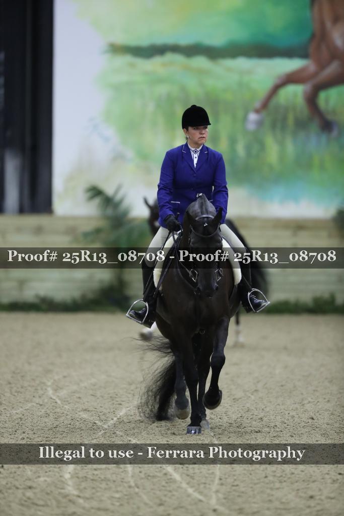 Proof 25R13_08708