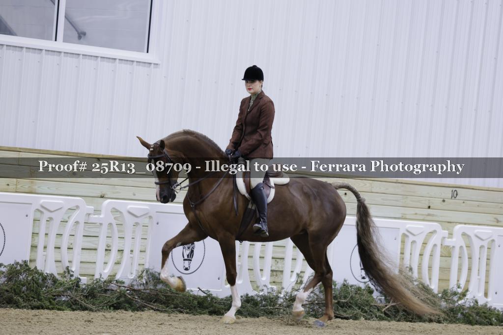 Proof 25R13_08709