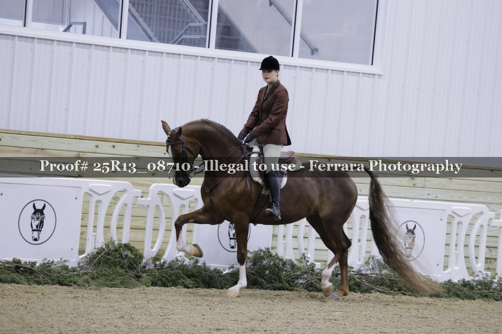 Proof 25R13_08710