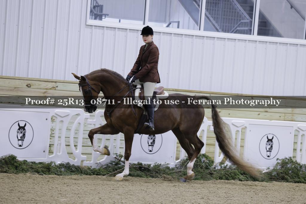 Proof 25R13_08711