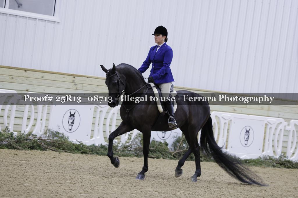 Proof 25R13_08713