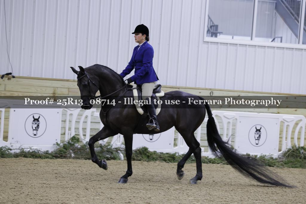 Proof 25R13_08714