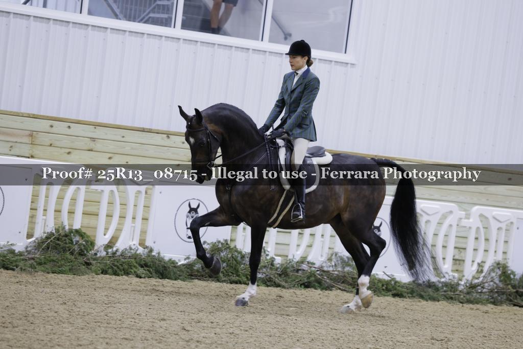 Proof 25R13_08715