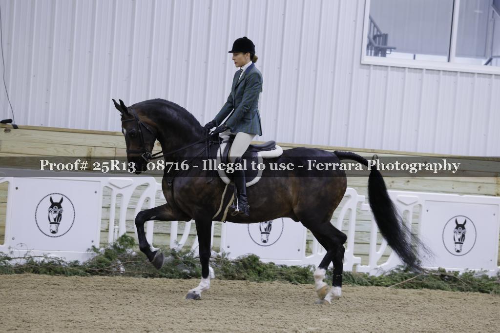 Proof 25R13_08716