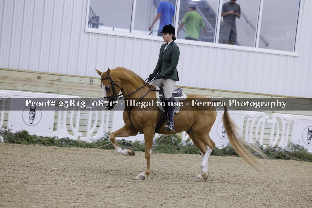 Proof 25R13_08717