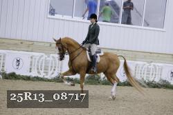 25R13_08717 proof