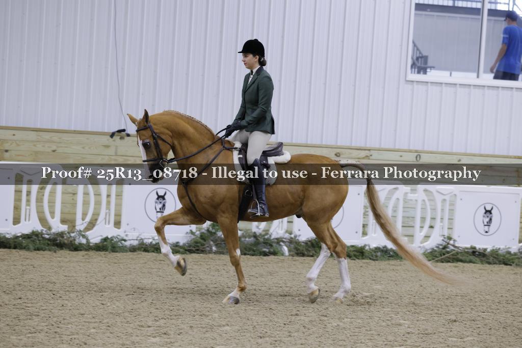 Proof 25R13_08718