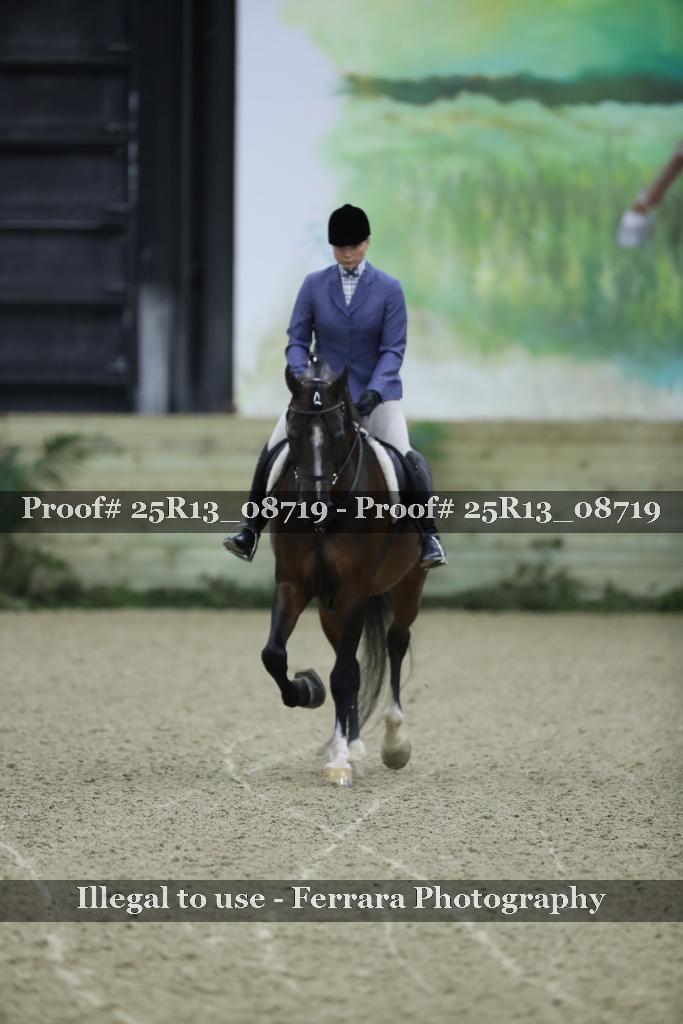 Proof 25R13_08719