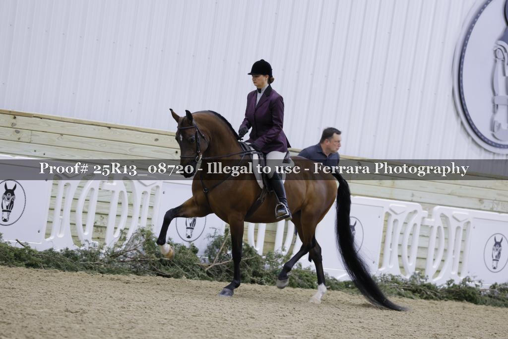Proof 25R13_08720