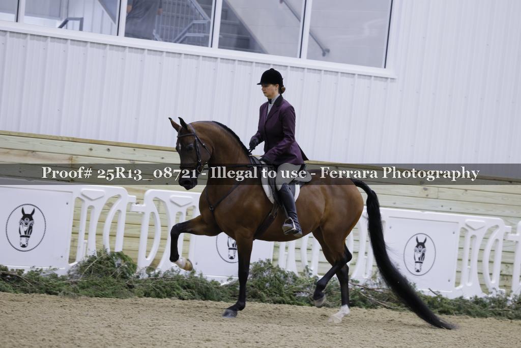Proof 25R13_08721