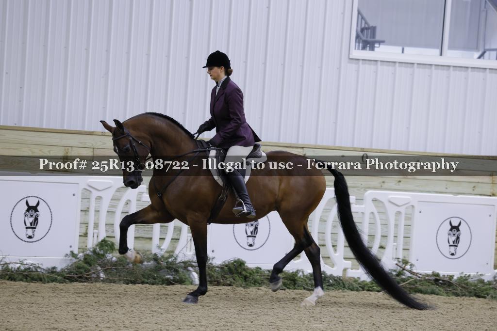 Proof 25R13_08722
