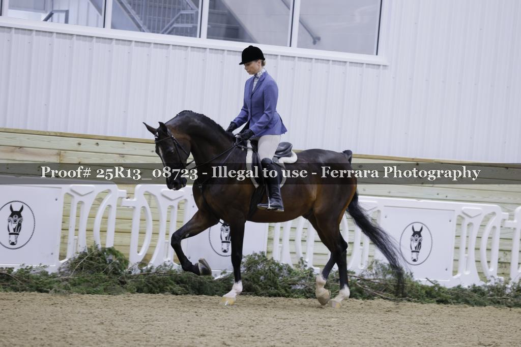 Proof 25R13_08723