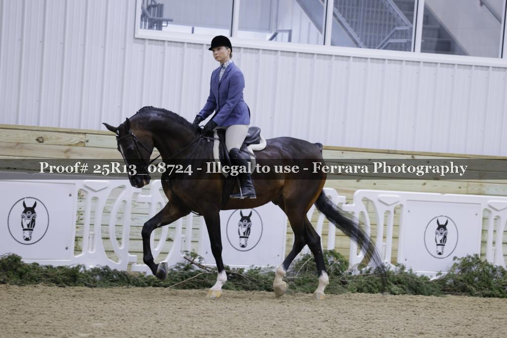 Proof 25R13_08724