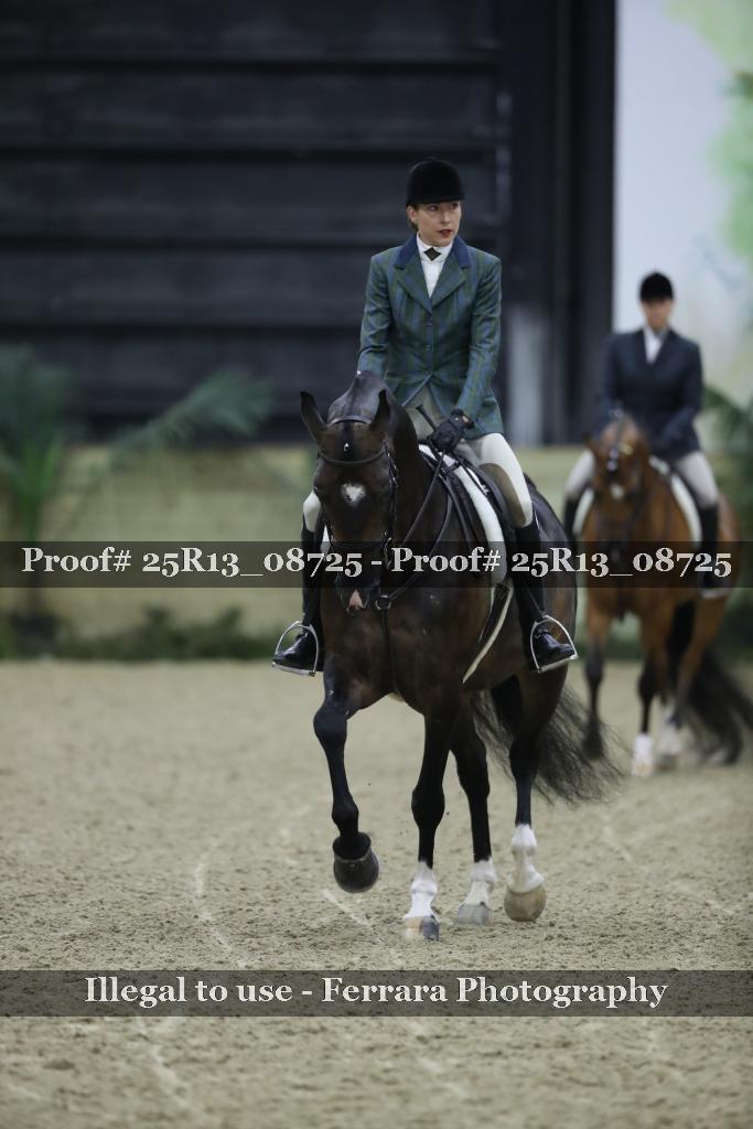 Proof 25R13_08725