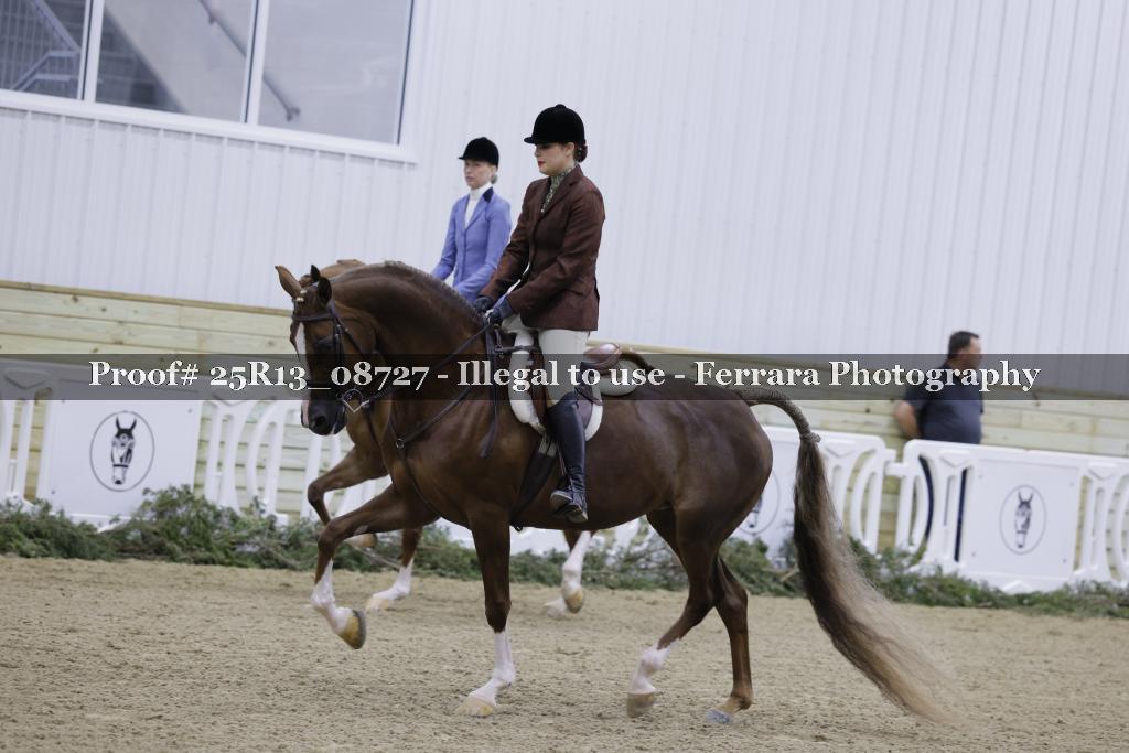 Proof 25R13_08727