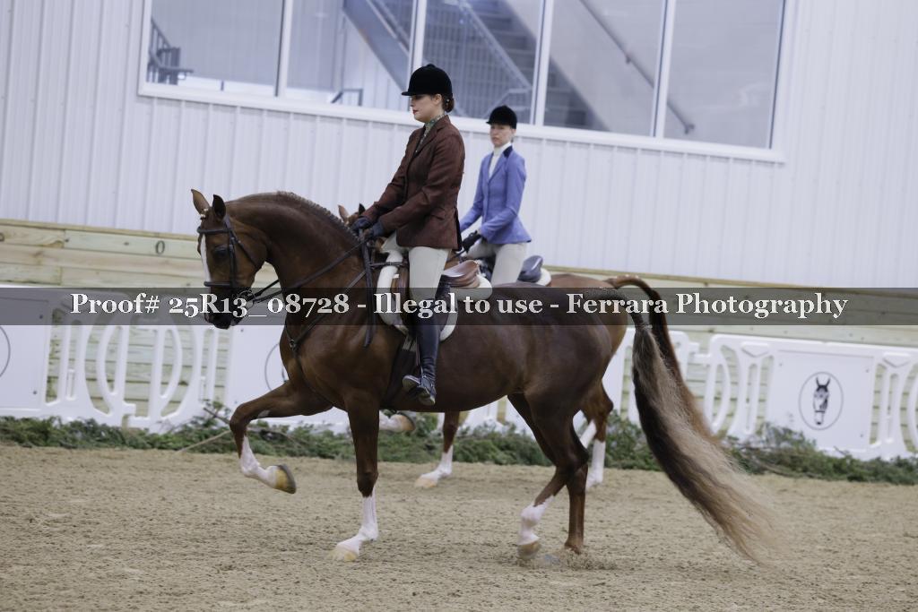 Proof 25R13_08728