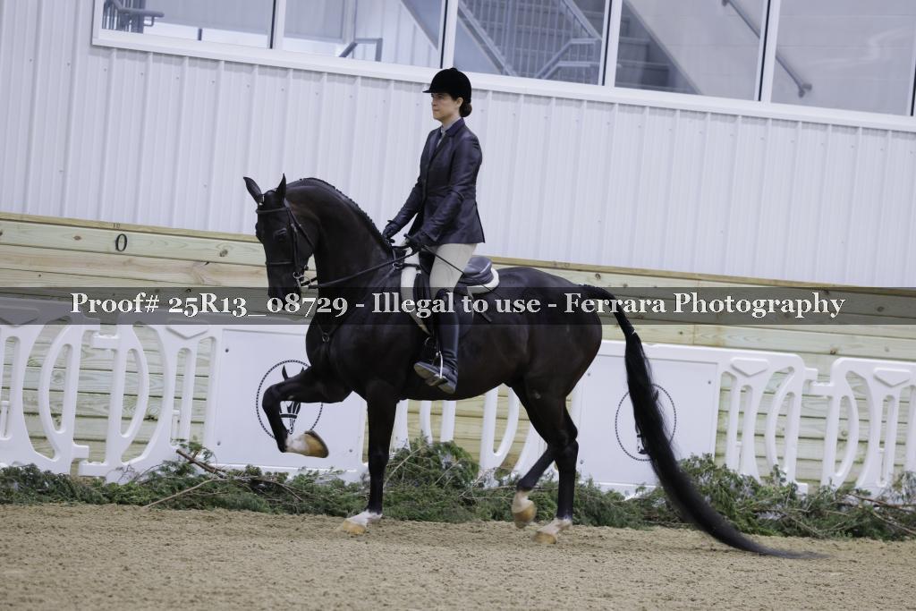 Proof 25R13_08729