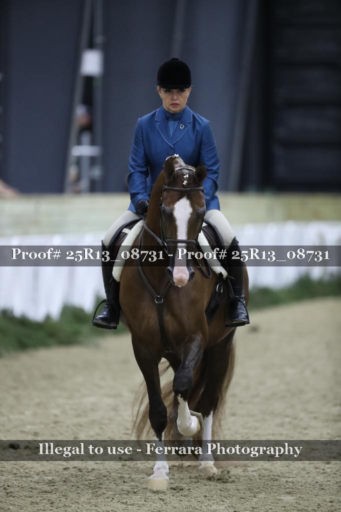 Proof 25R13_08731