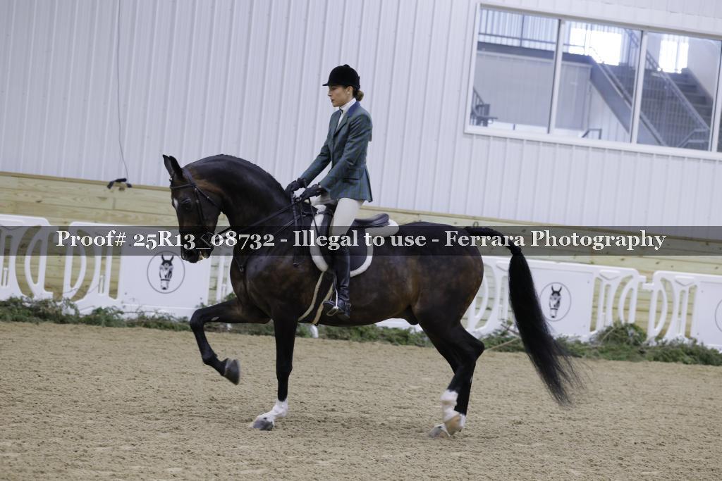 Proof 25R13_08732