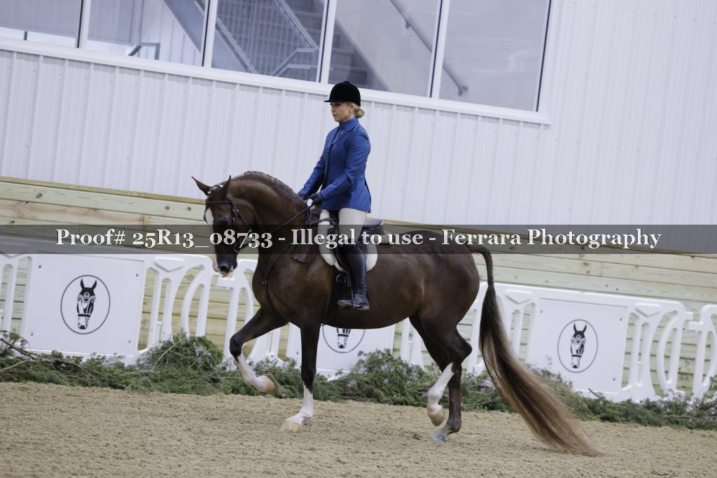 Proof 25R13_08733