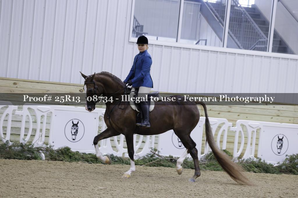 Proof 25R13_08734