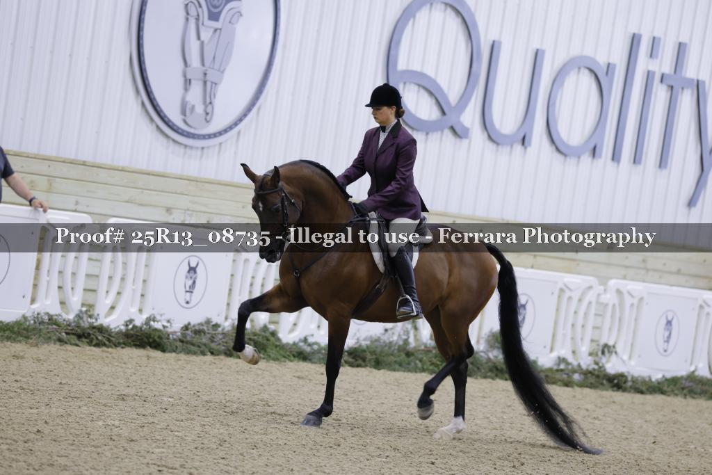 Proof 25R13_08735