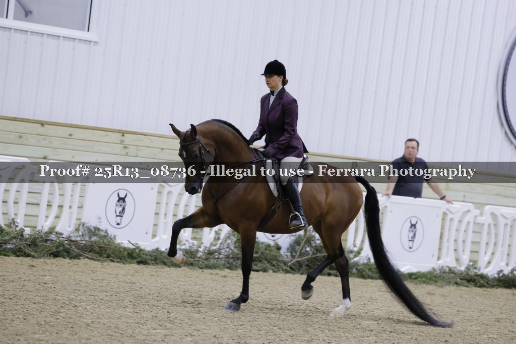 Proof 25R13_08736