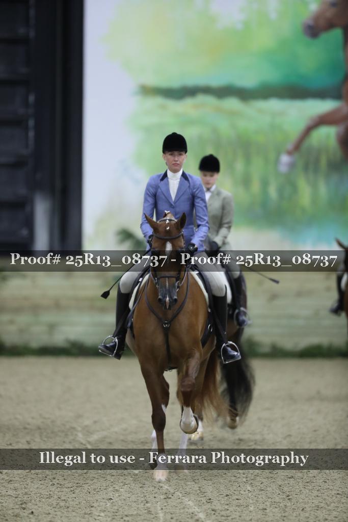 Proof 25R13_08737