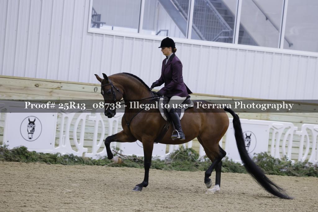 Proof 25R13_08738
