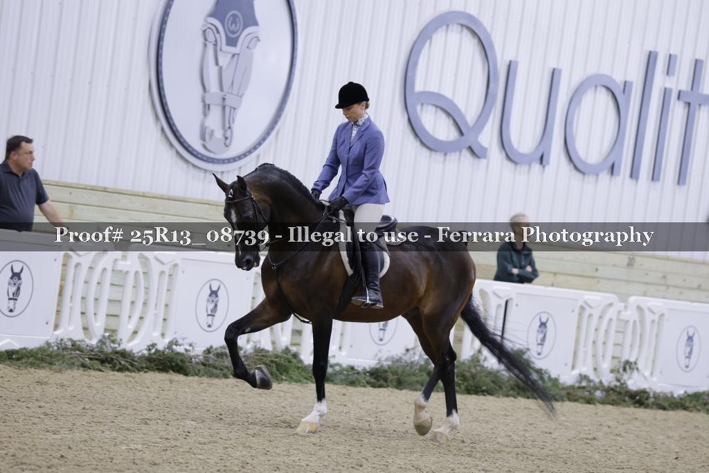 Proof 25R13_08739