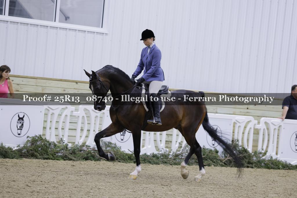 Proof 25R13_08740
