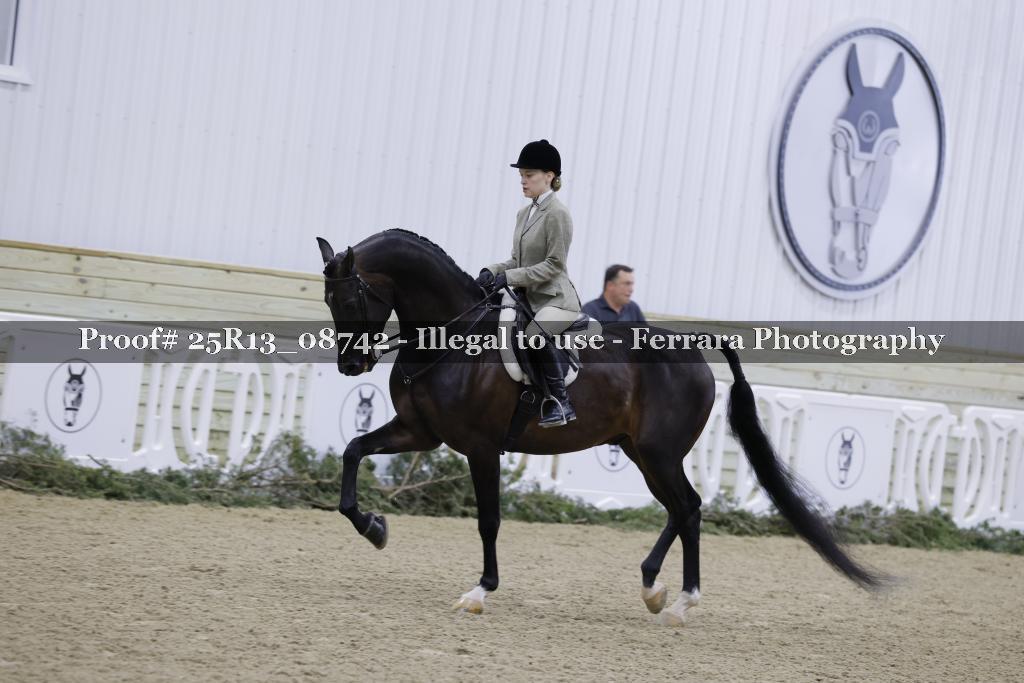 Proof 25R13_08742