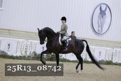 25R13_08742 proof