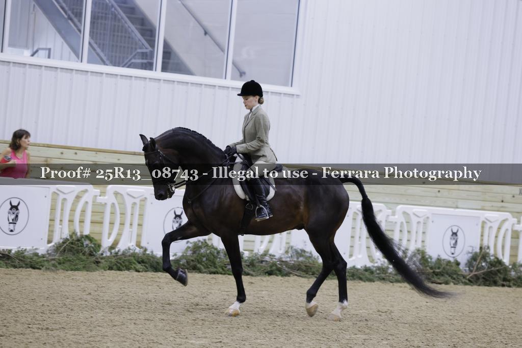 Proof 25R13_08743