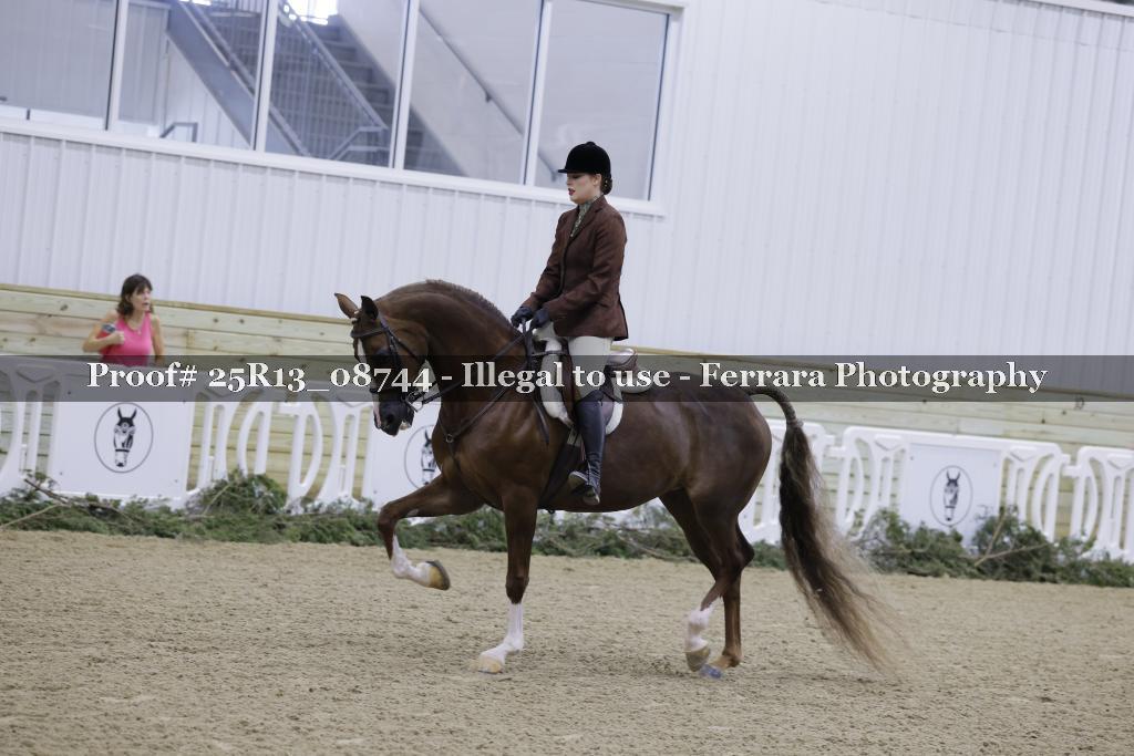 Proof 25R13_08744