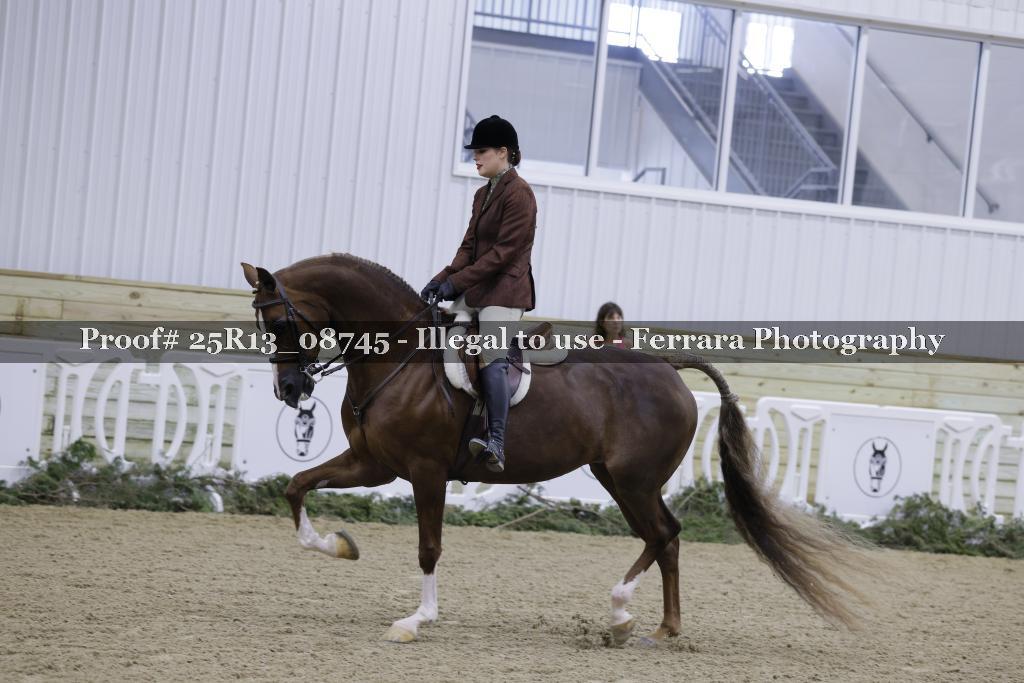 Proof 25R13_08745